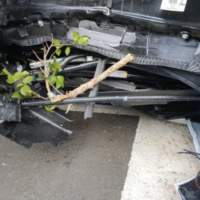 2022 Mercedes-Benz E 53 VIN: