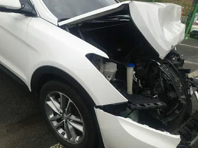 2016 Hyundai Santa FE 544KMKMHSW81UDGU6 VIN:544KMKMHSW81UDGU6