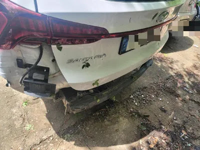 2020 Hyundai Santa FE KMHS381HGMU328111 VIN:KMHS381HGMU328111