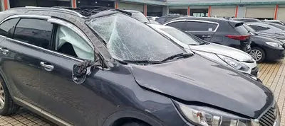 2017 Kia Sorento KNAPS81ABHA341237 VIN:KNAPS81ABHA341237