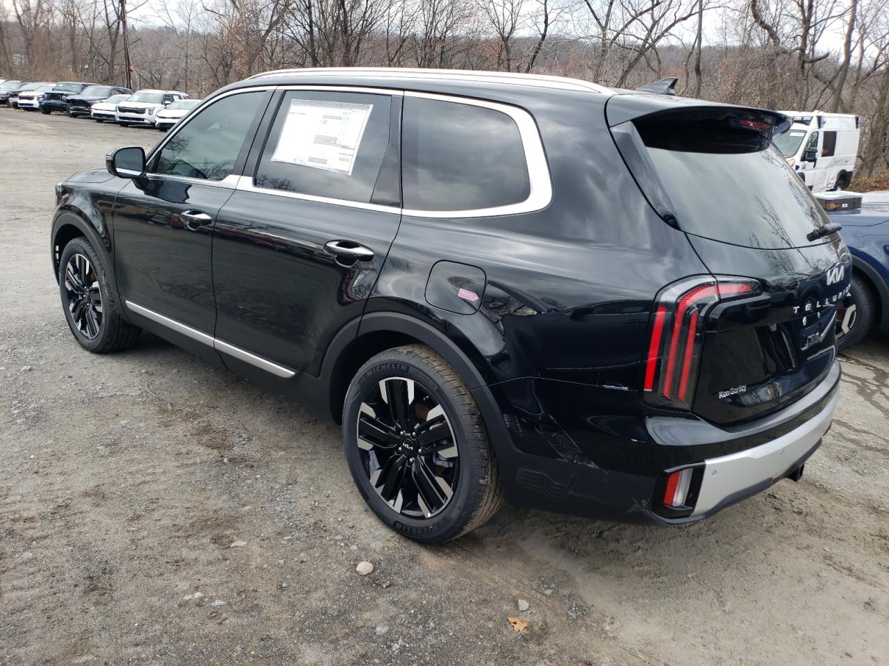 2024 KIA TELLURIDE SX VIN:5XYP5DGC3RG540392