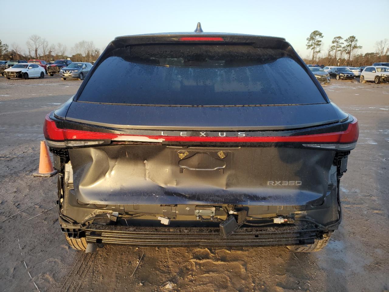 2024 LEXUS RX 350 BASE VIN:2T2BAMBA4RC024271