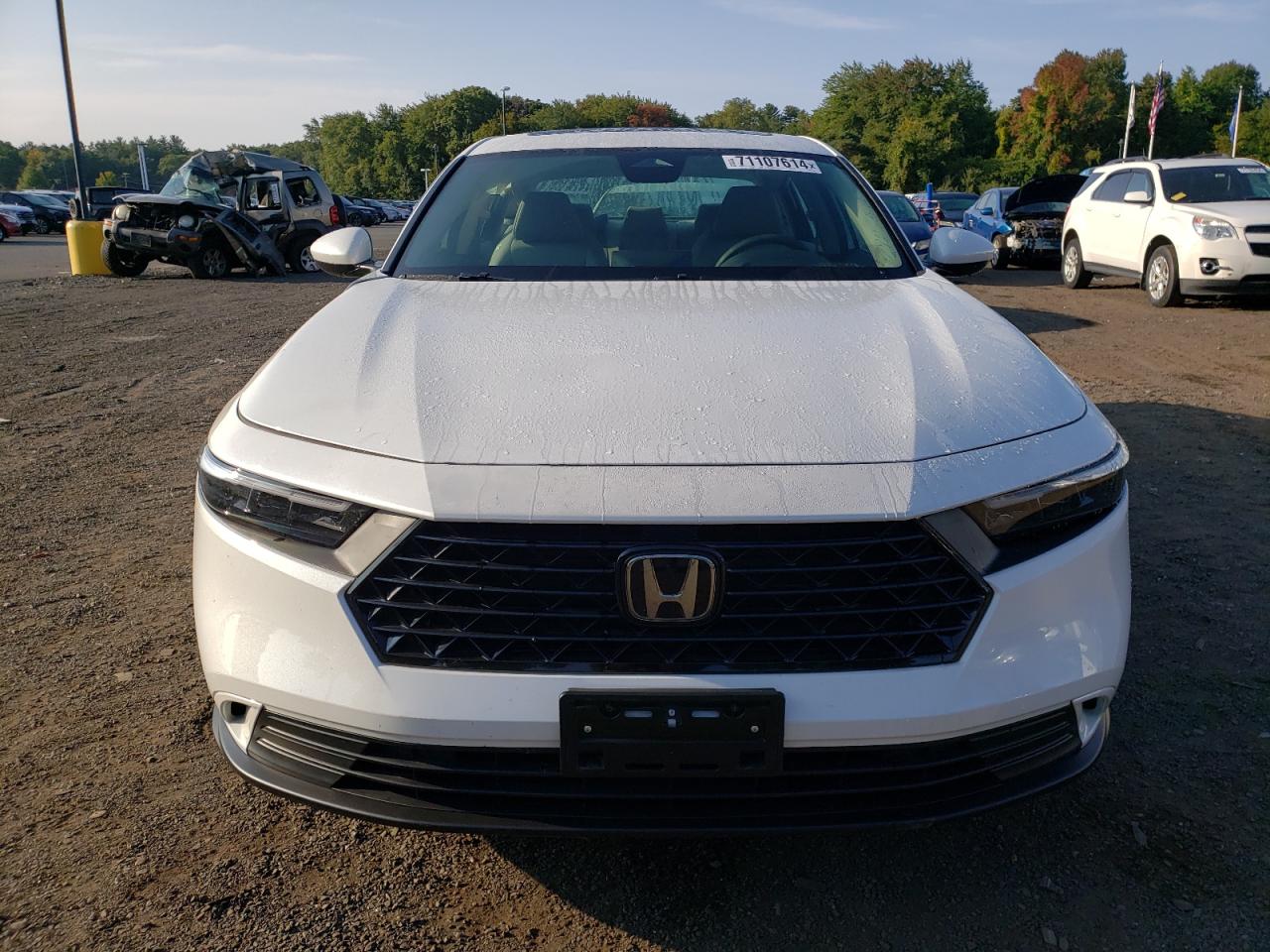 2024 HONDA ACCORD EX VIN:1HGCY1F3XRA014381