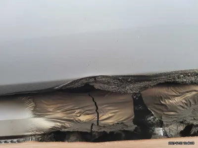 2020 Tesla Model 3 5YJ3E1EA5LF756516 VIN:5YJ3E1EA5LF756516