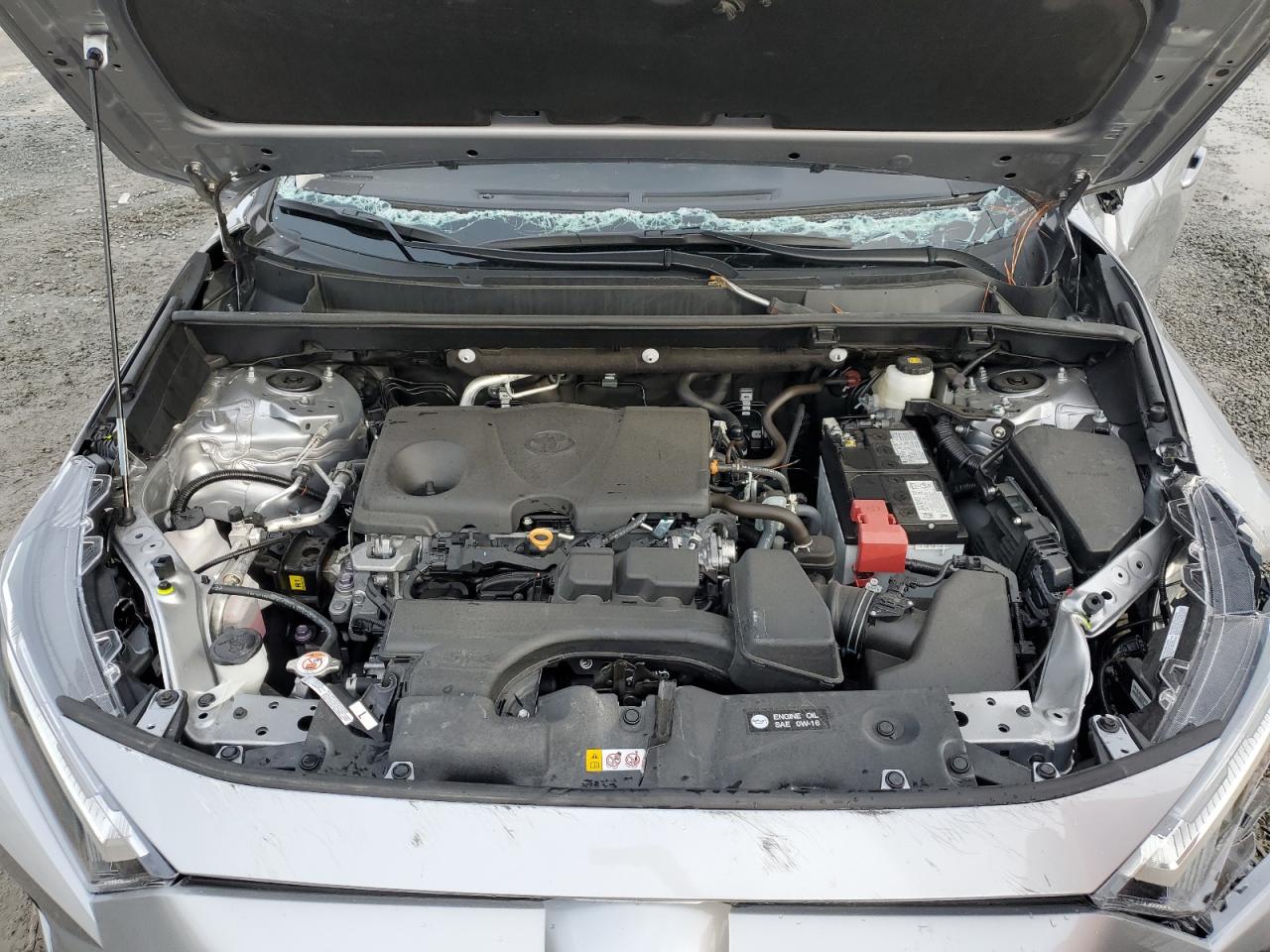 2024 TOYOTA RAV4 XLE VIN:2T3W1RFVXRC281927