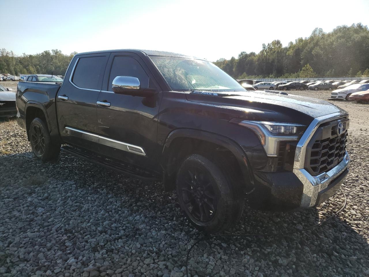 2024 TOYOTA TUNDRA CREWMAX PLATINUM VIN:5TFMC5DB1RX073108