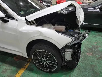 2021 Kia K5 KNAG6412BMA113650 VIN:KNAG6412BMA113650