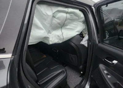 2021 Hyundai Santa FE KMHS581HGMU322507 VIN:KMHS581HGMU322507