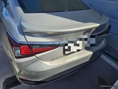 2019 Lexus ES 300 VIN: