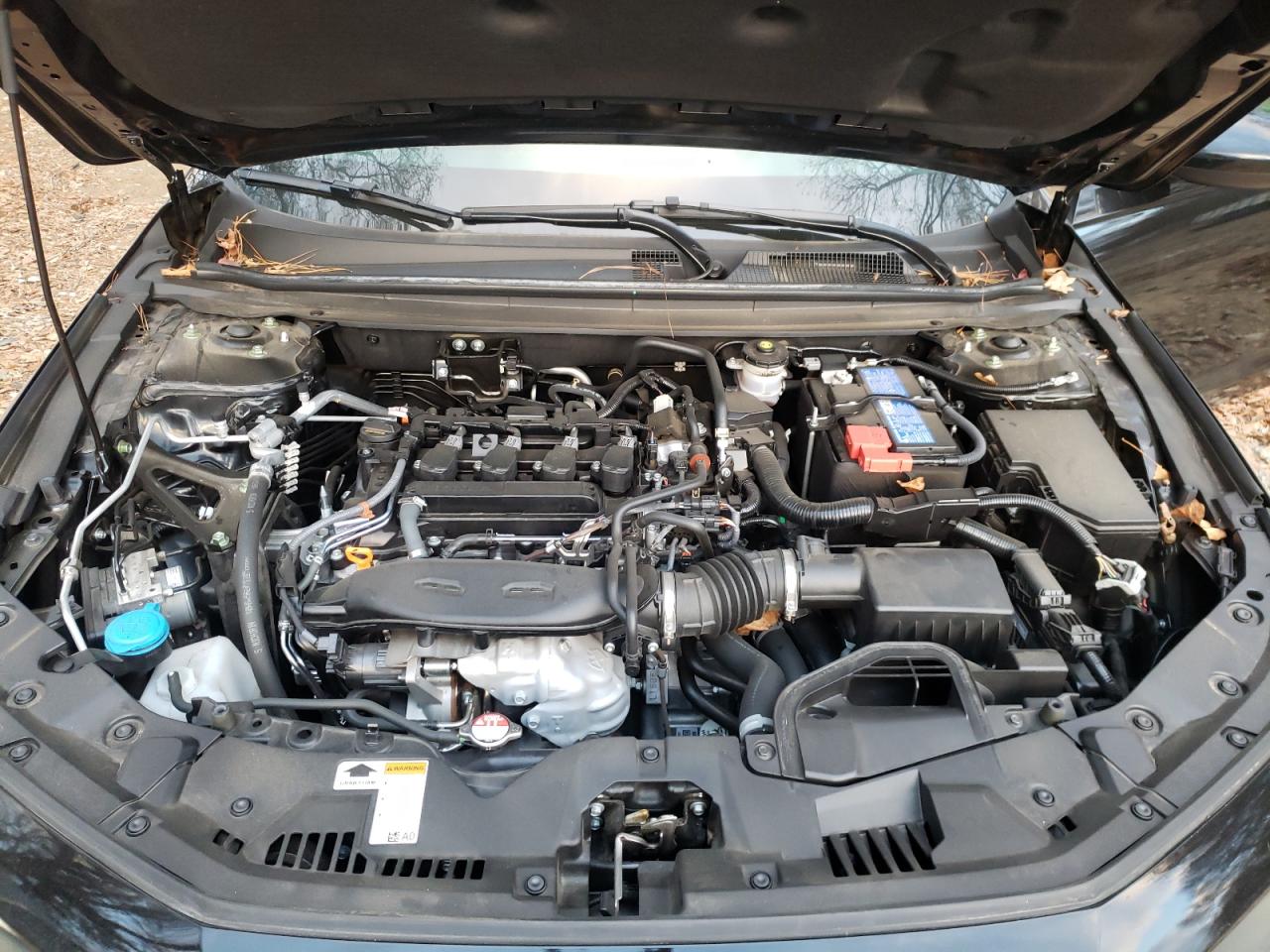 2023 HONDA ACCORD EX VIN:1HGCY1F30PA028027