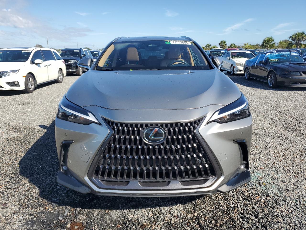 2022 LEXUS NX 250 VIN:JTJGDCAZ9N5002290