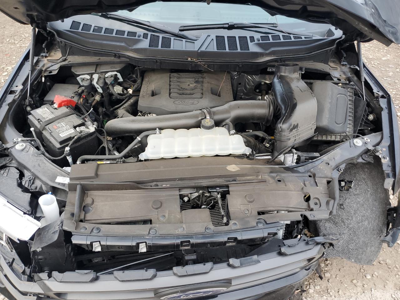 2023 FORD F150 SUPERCREW VIN:1FTFW1E82PKE26560