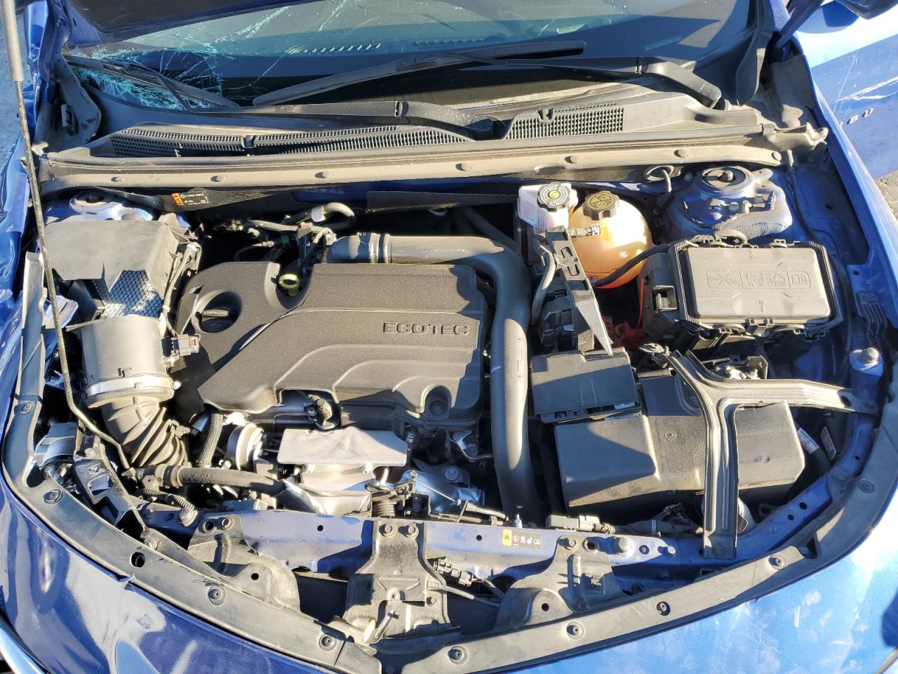 2023 CHEVROLET MALIBU LS VIN:1G1ZC5ST9PF149154