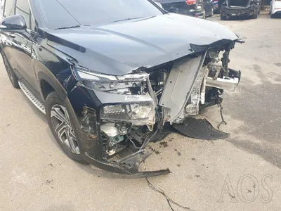 2021 Hyundai Santa FE KMHS281HHMU395114 VIN:KMHS281HHMU395114