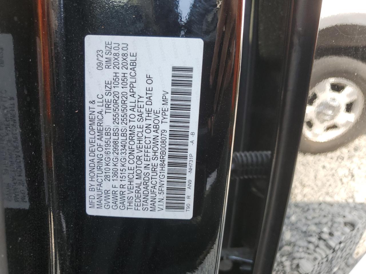 2024 HONDA PILOT ELITE VIN:5FNYG1H84RB008079