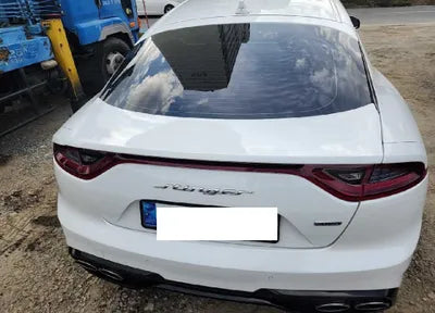 2019 Kia Stinger KNAE651BDKS045522 VIN:KNAE651BDKS045522
