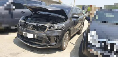 2017 Kia Sorento KNAPS81BBJA425950 VIN:KNAPS81BBJA425950
