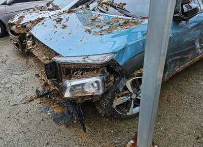 2019 Hyundai Kona KMHK7815GKU291067 VIN:KMHK7815GKU291067