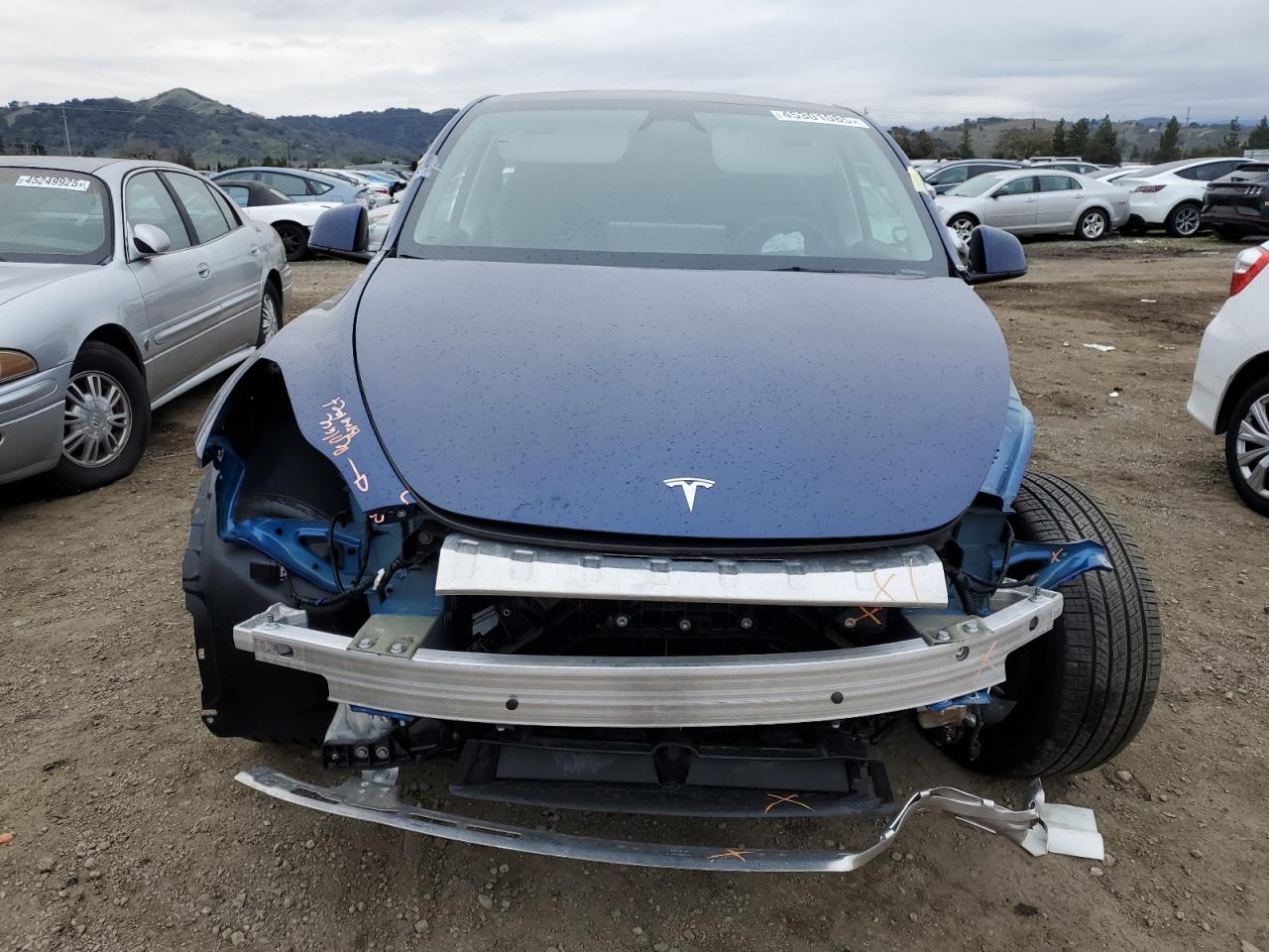2024 TESLA MODEL Y  VIN:7SAYGDED7RF181553
