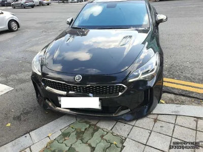 2018 Kia Stinger KNAE351ABJS006632 VIN:KNAE351ABJS006632