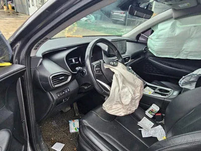 2021 Hyundai Santa FE KMHS281LGMU385254 VIN:KMHS281LGMU385254