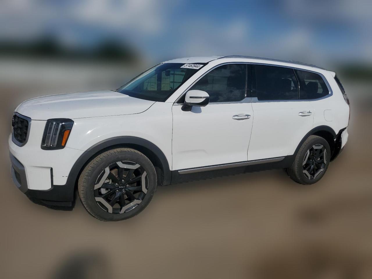 2023 KIA TELLURIDE S VIN:5XYP6DGC2PG344941