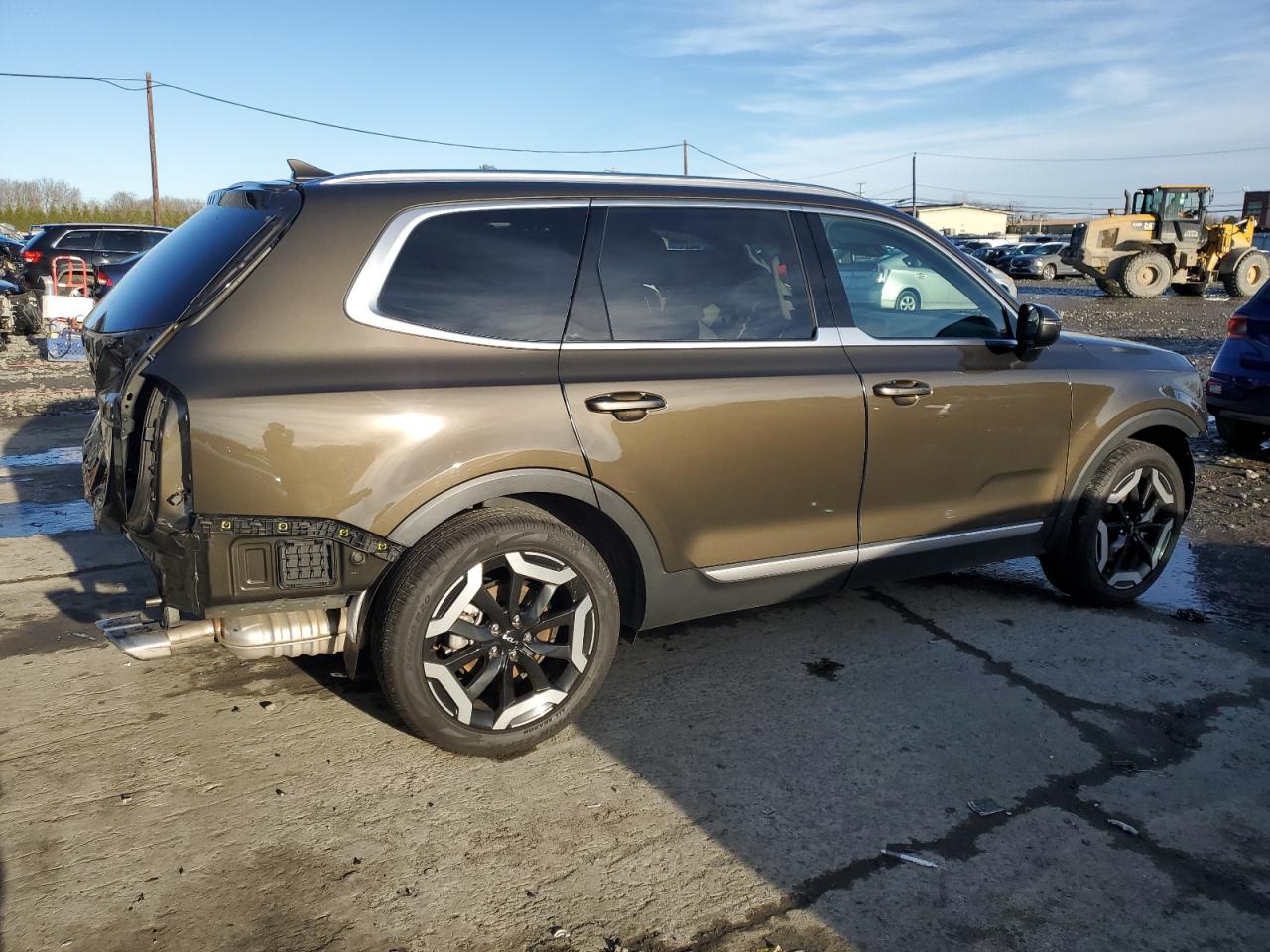 2024 KIA TELLURIDE EX VIN:5XYP3DGC4RG492343