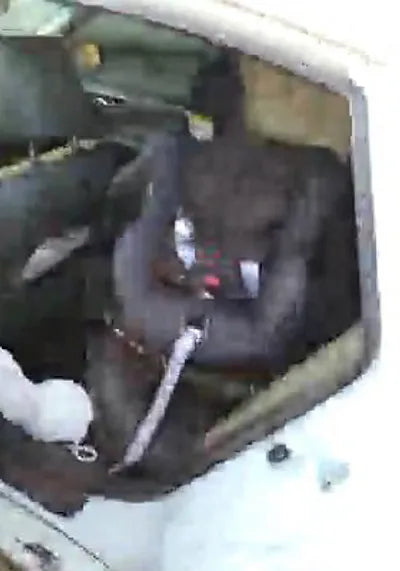 2015 Nissan Altima 1N4AL3AP3FC189281 VIN:1N4AL3AP3FC189281