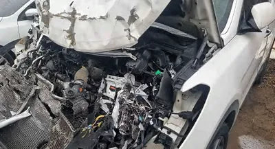 2016 Hyundai Santa FE KMHSW81UBGU666839 VIN:KMHSW81UBGU666839