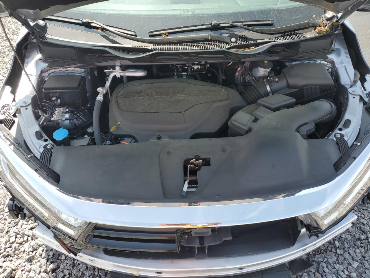 2024 HONDA ODYSSEY EXL VIN:5FNRL6H63RB046690