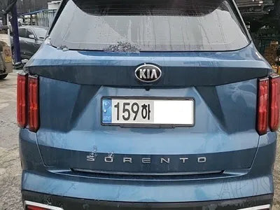 2020 Kia Sorento KNARL81BGMA059439 VIN:KNARL81BGMA059439