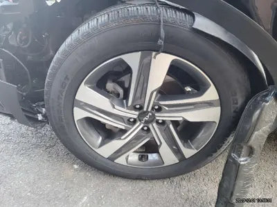 2023 Kia Sorento KNARF81GBPA148066 VIN:KNARF81GBPA148066