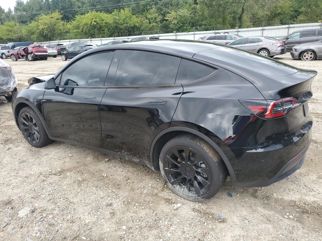 2023 TESLA MODEL Y  VIN:7SAYGDEE6PF868934