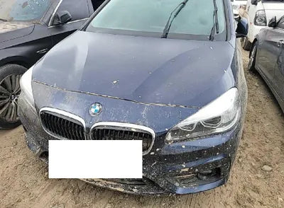 2016 BMW 2 Series Gran Tourer WBA2C1105GV706430 VIN:WBA2C1105GV706430