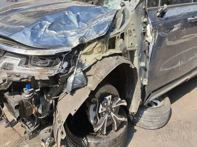 2021 Kia Carnival KNANC813BMS119768 VIN:KNANC813BMS119768