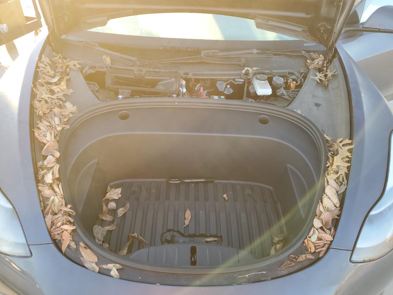 2023 TESLA MODEL 3  VIN:5YJ3E1EA7PF567579