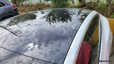 2020 Tesla Model 3 VIN: