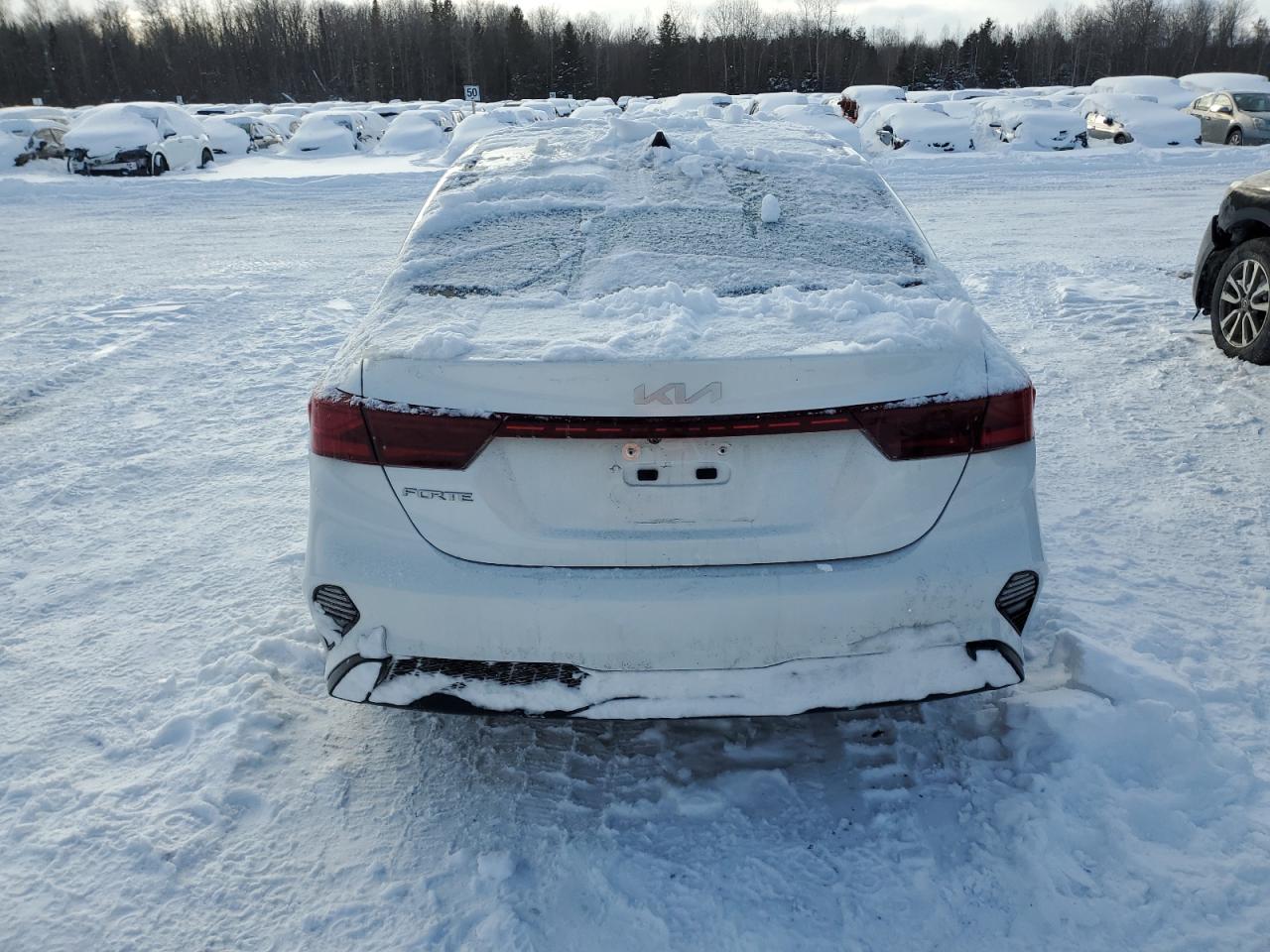 2023 KIA FORTE LX VIN:3KPF24AD2PE695967