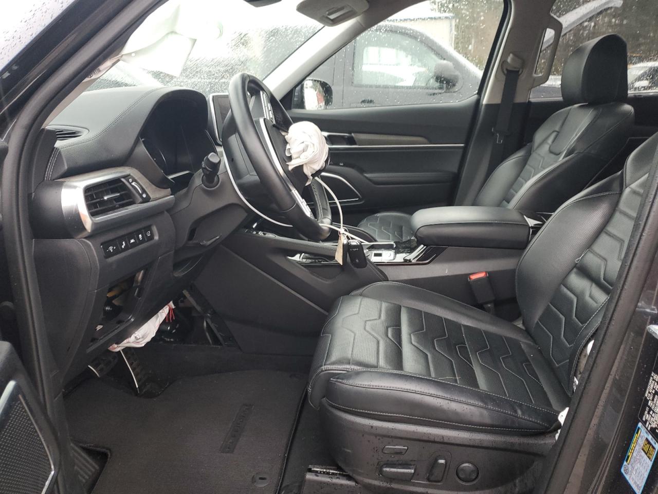 2022 KIA TELLURIDE SX VIN:5XYP5DHC0NG226384