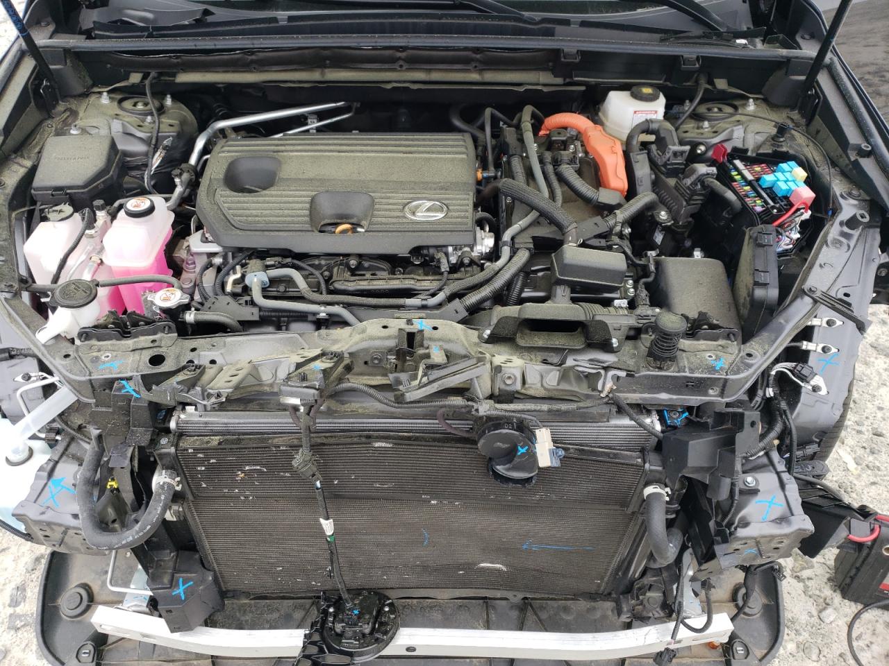 2024 LEXUS NX 350H BASE VIN:2T2GKCEZXRC024080