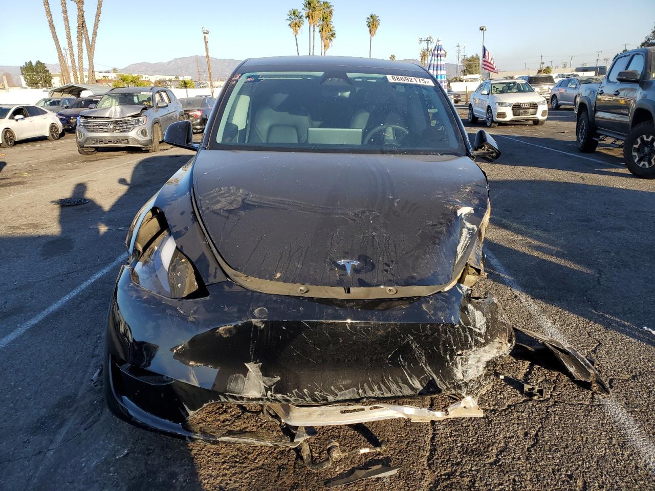 2024 TESLA MODEL Y  VIN:7SAYGDEE8RA231933