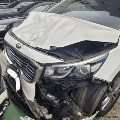 2018 Kia Carnival KNAMC81ABJS432767 VIN:KNAMC81ABJS432767