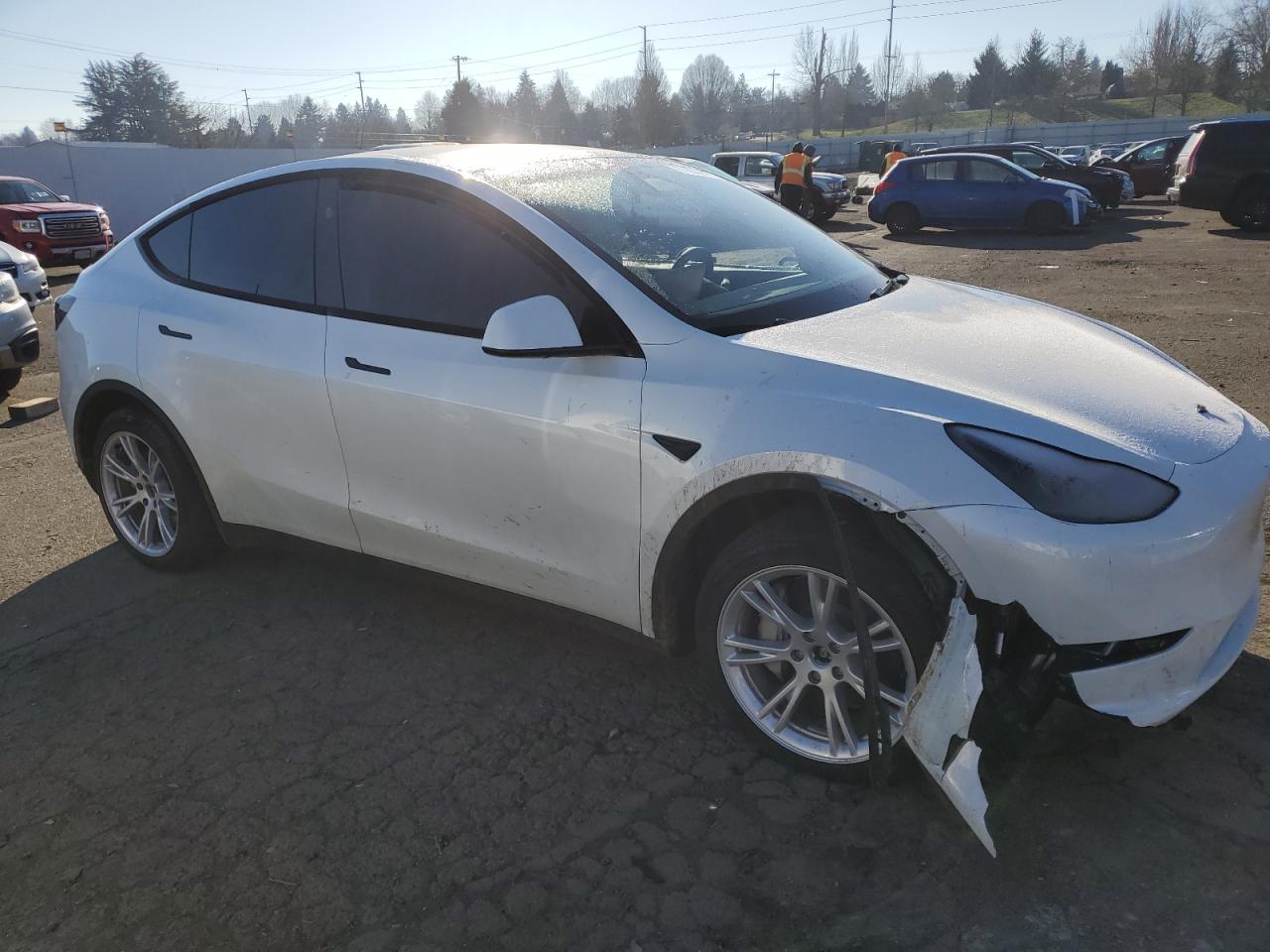 2024 TESLA MODEL Y  VIN:7SAYGDEE0RF044320