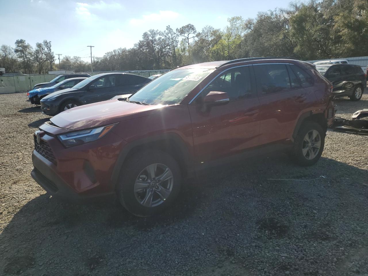 2024 TOYOTA RAV4 XLE VIN:4T3RWRFV2RU148995