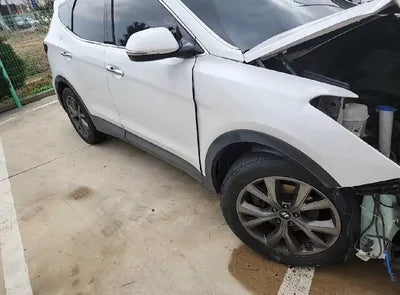 2018 Hyundai Santa FE KMHSW81UBJU788786 VIN:KMHSW81UBJU788786