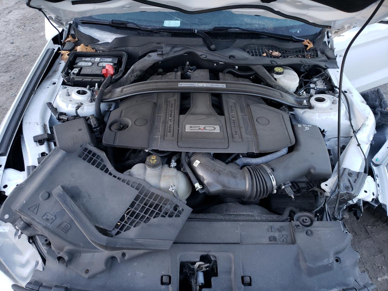 2022 FORD MUSTANG GT VIN:1FATP8FF1N5116262