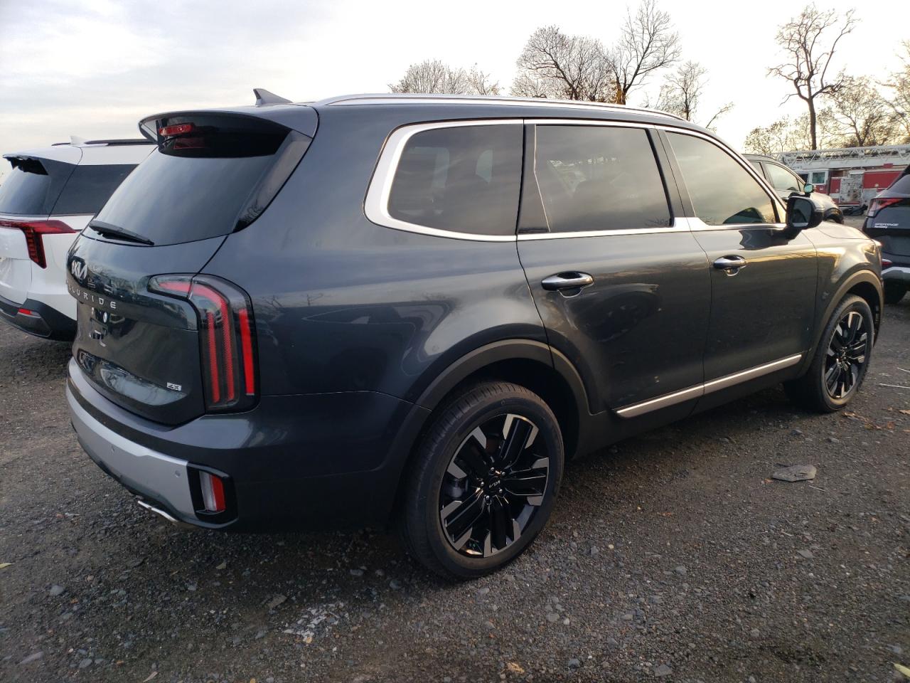 2024 KIA TELLURIDE SX VIN:5XYP5DGC5RG541334