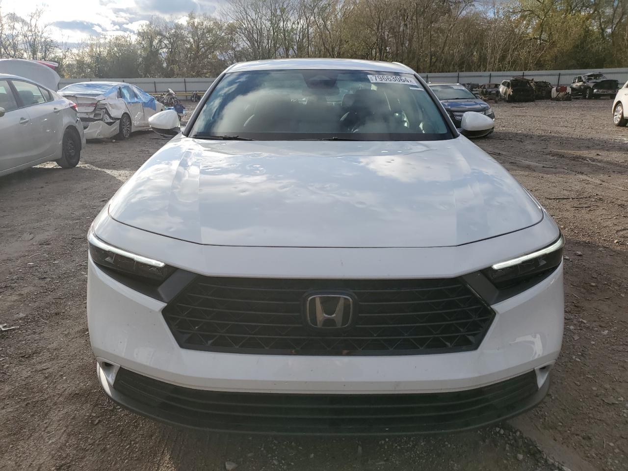 2024 HONDA ACCORD EX VIN:1HGCY1F31RA052873