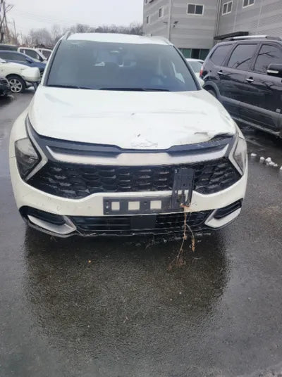 2022 Kia Sportage KNAPX81CBNK007240 VIN:KNAPX81CBNK007240