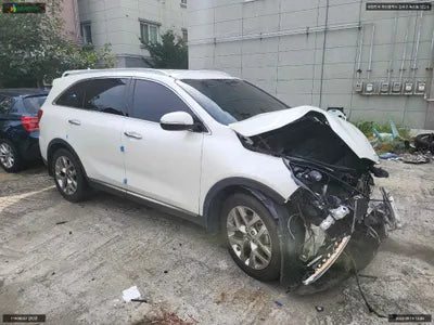 2019 Kia Sorento KNAPH81BBLA587699 VIN:KNAPH81BBLA587699